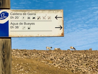 Wanderung auf den Vulkan Gairia