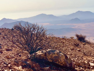 Wanderung hoch &uuml;ber Tiscamanita