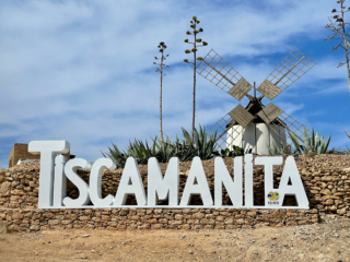 Tiscamanita