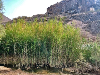 Barranco de Rio Cabras II