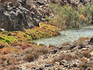 Barranco de Rio Cabras II