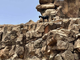 Barranco de Rio Cabras II