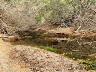 Barranco de Rio Cabras II