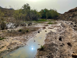 Barranco de Rio Cabras II