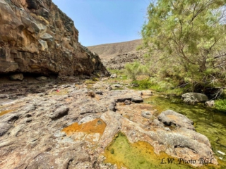 Barranco de Rio Cabras II