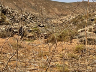 Barranco de Rio Cabras II