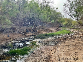 Barranco de Rio Cabras II