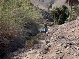 Ajuy, Palmenoase und Felsentor.