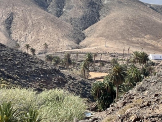 Ajuy, Palmenoase und Felsentor.