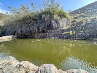 Ajuy, Palmenoase und Felsentor.