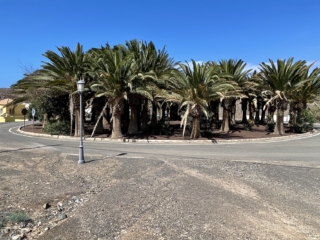 Ajuy, Palmenoase und Felsentor.