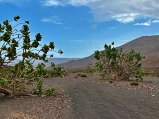Morro de los Halcones