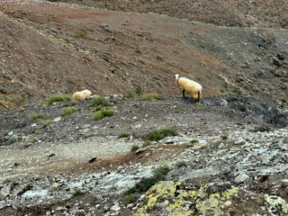 Morro de los Halcones