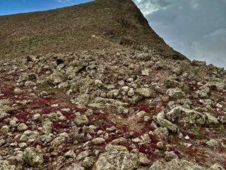 Morro de los Halcones