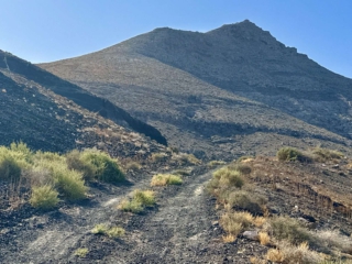Cerro del Aceitunal
