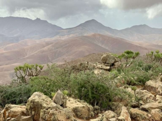 Der Monta&ntilde;a Carbon