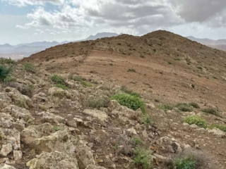 Der Monta&ntilde;a Carbon