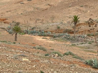 Der Monta&ntilde;a Carbon