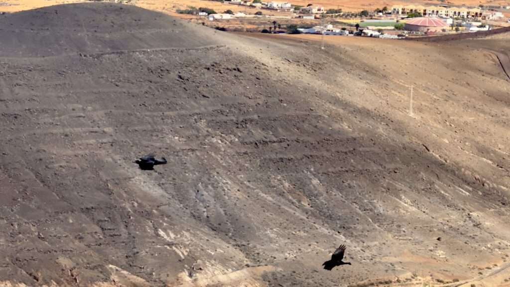 Casillas del Angel - Morro de la Atalaya - Pico de la Fortaleza