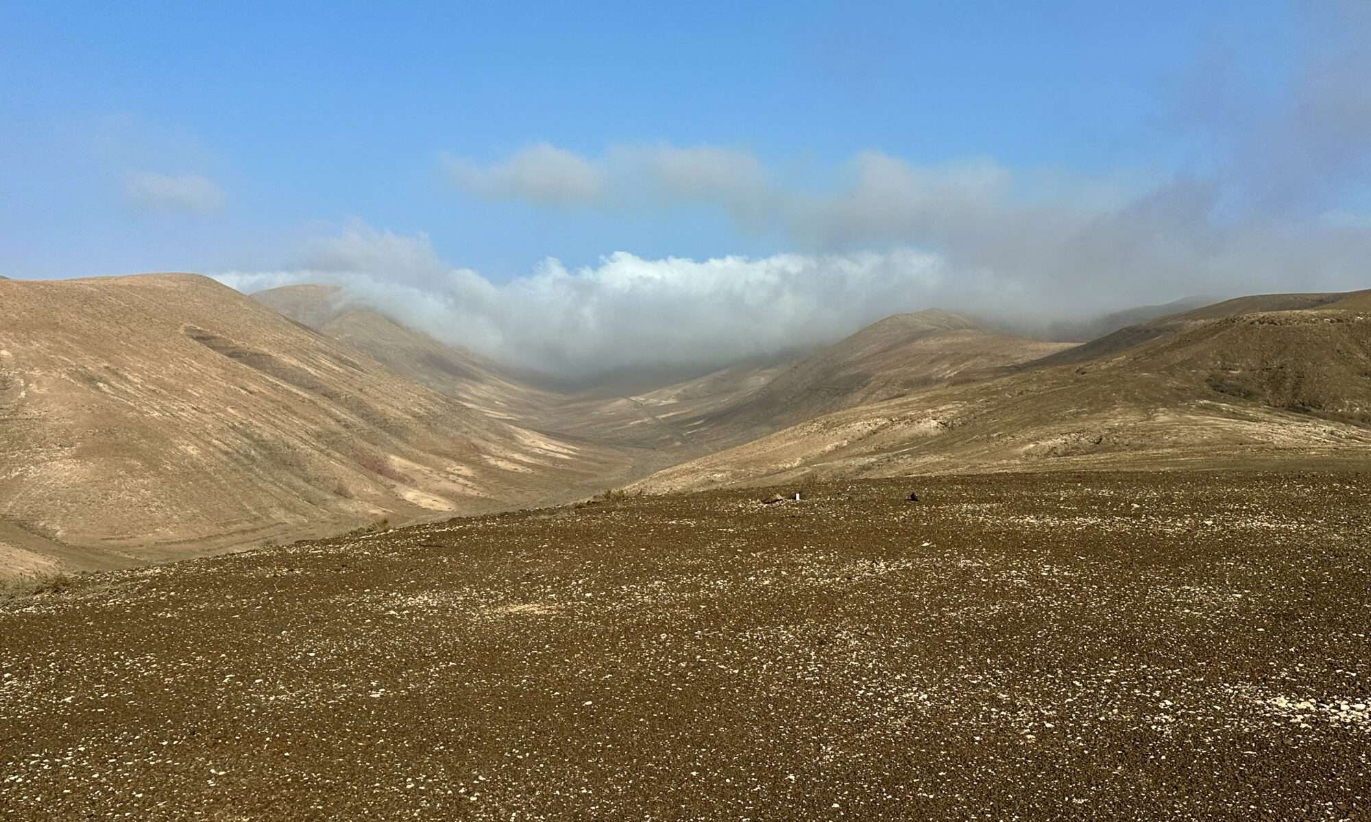 Barranco de Los Canarios