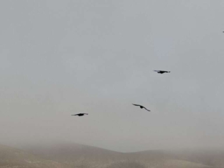 Barranco de Los Canarios