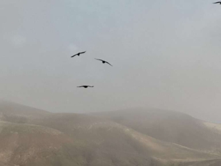 Barranco de Los Canarios