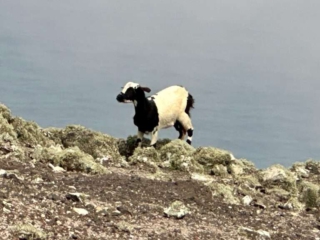 Barranco de Los Canarios