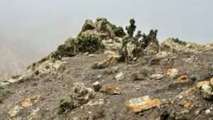 Barranco de Los Canarios