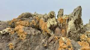 Barranco de Los Canarios