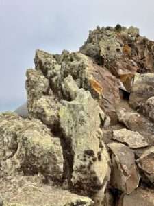 Barranco de Los Canarios