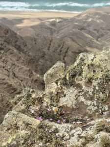 Barranco de Los Canarios