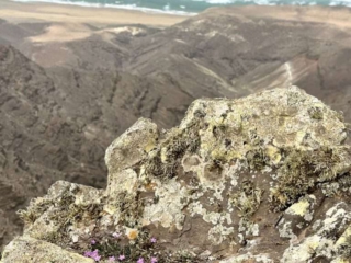 Barranco de Los Canarios