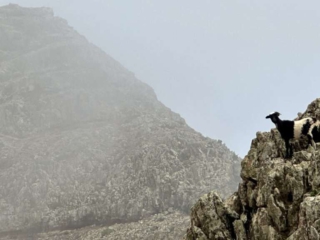 Barranco de Los Canarios