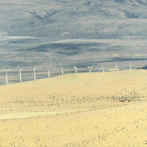 Morro de la Burra 28