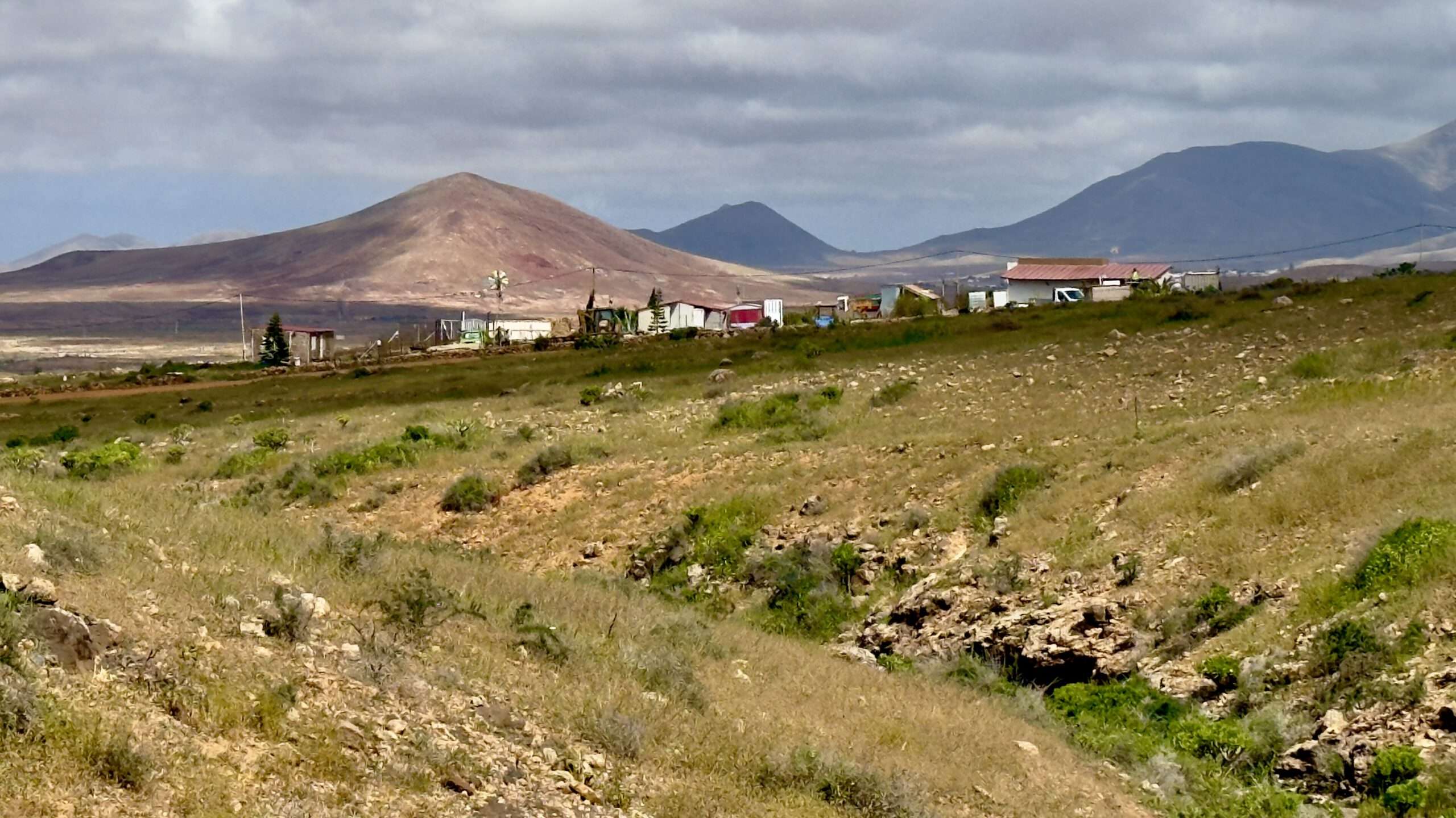 Almácigo Circular